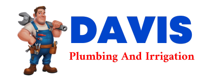 Trusted plumber in DE LEON